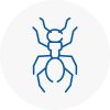 Ant Removals In Welwyn