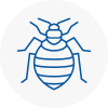 Bed Bug Extermination In Welwyn