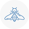 Bee Nest Removal Welwyn