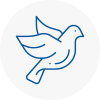 Bird Prevention Welwyn