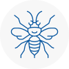 Welwyn Hornet Nest Removals
