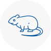 Rat Control Welwyn