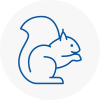 Welwyn Rodent Removals