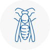 Welwyn Wasp Nest Removal